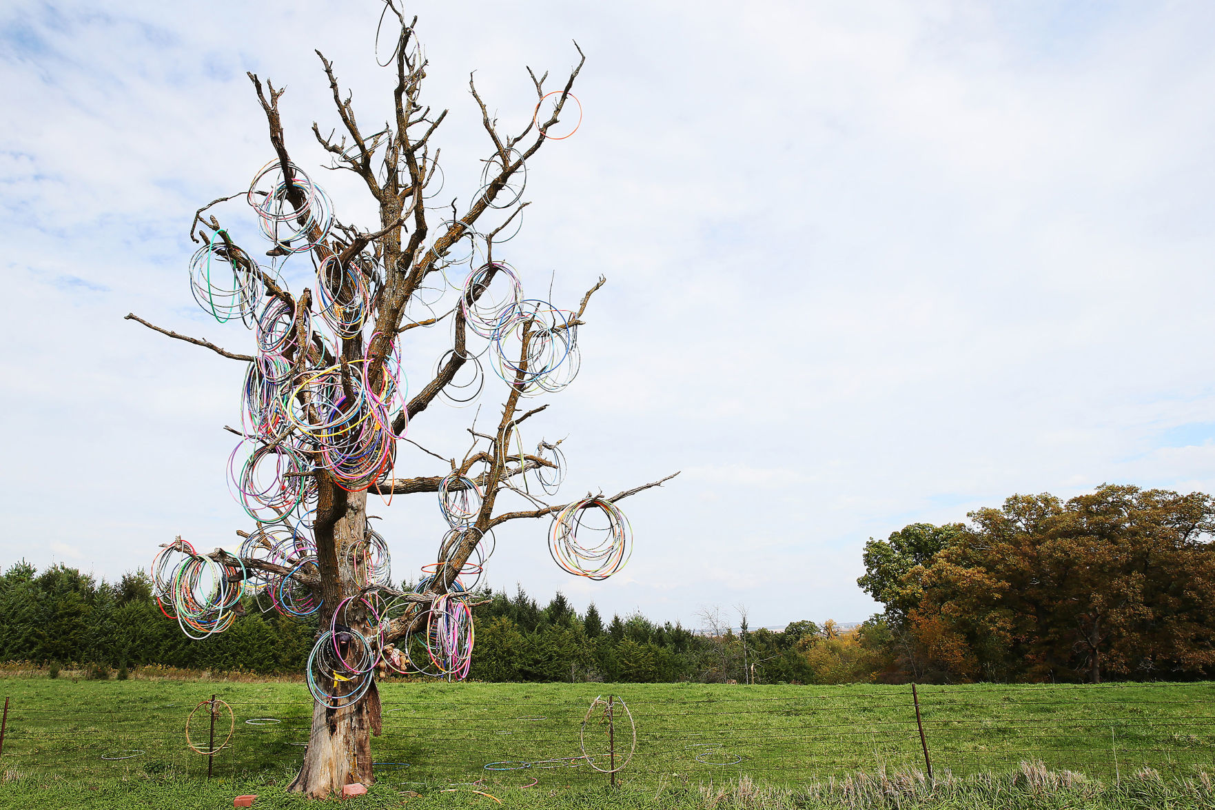 102518-Hula-Hoop-Tree-002